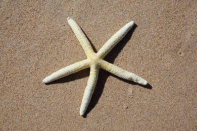 弹幕射击《暴走枪姬》发售预告 独特的2D艺术